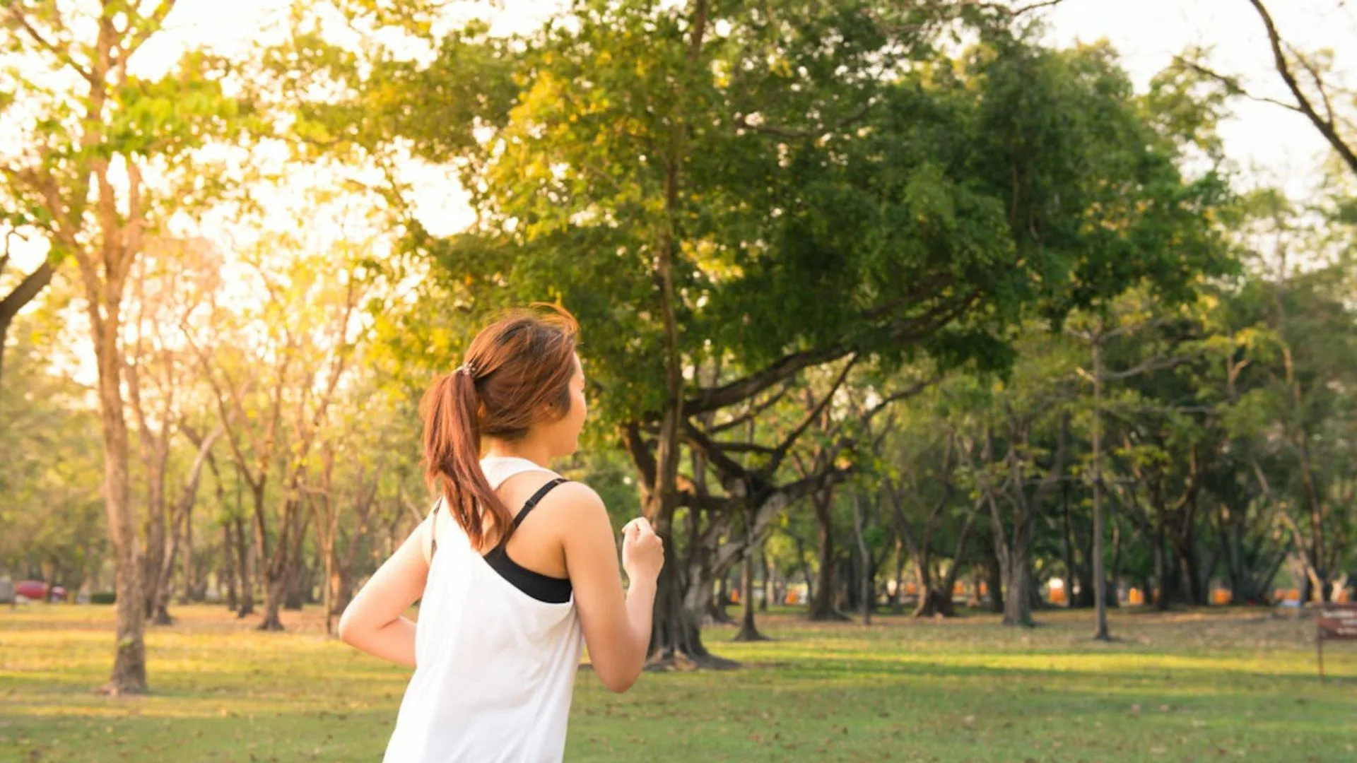 Energetic weight loss blueprint